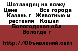 Шотландец на вязку › Цена ­ 1 000 - Все города, Казань г. Животные и растения » Кошки   . Вологодская обл.,Вологда г.